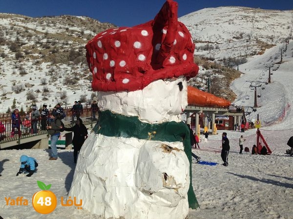 jabalelskheikhlud (42).JPG